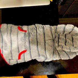 Kensington Kennel Club